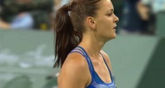 isia serena IW