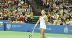 cibulkova