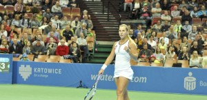 cibulkova