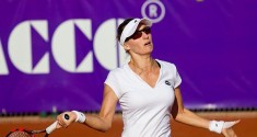 lucić baroni