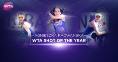 Isia shot of the year