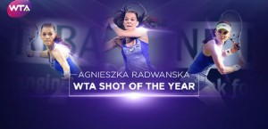 Isia shot of the year
