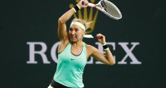 vesnina IW