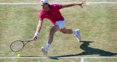 tommy haas